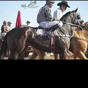 Meet your Posher, Jason